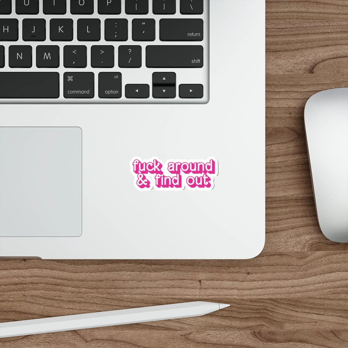 fuck around and find out pink sticker on a laptop